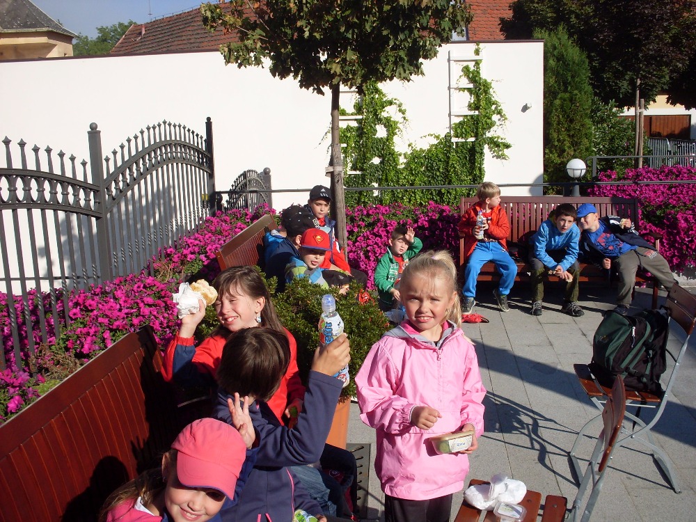 Dobřany 1