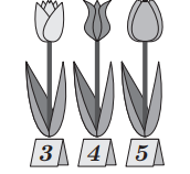 tulipány