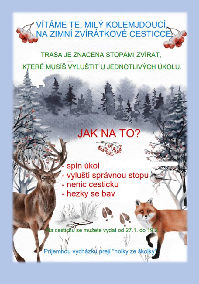 zimni cesticka